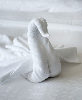 towel-24