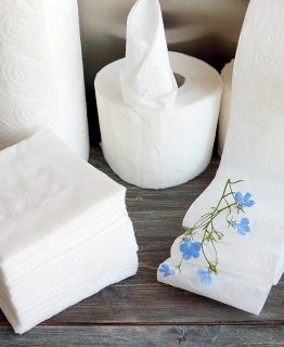 Buy Online Dinner Napkins in Bulk | Paper Products