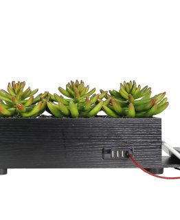 4-Port USB Charging Station Power Plant Grass Succulent Black