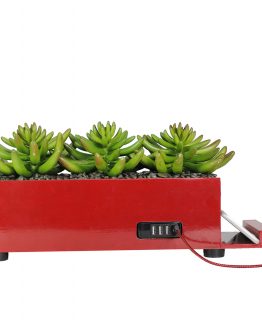 4-Port USB Charging Station Power Plant Grass Succulent Red