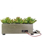 4-Port USB Charging Station Power Plant Grass Succulent Taupe