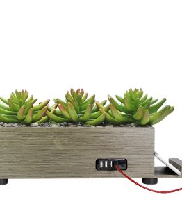 4-Port USB Charging Station Power Plant Grass Succulent Taupe