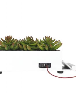 4-Port USB Charging Station Power Plant Grass Succulent White