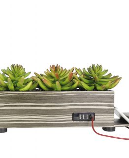 4-Port USB Charging Station Power Plant Grass Succulent Planter
