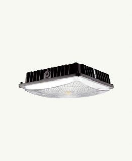 Canopy Lights