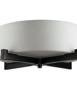 Country Ceiling Light