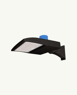 100W Shoebox Light