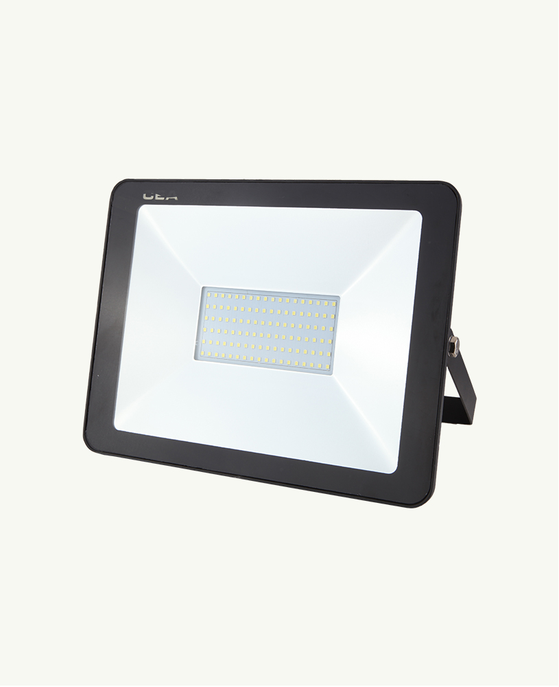 100W Floodlight