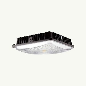 Canopy Lights