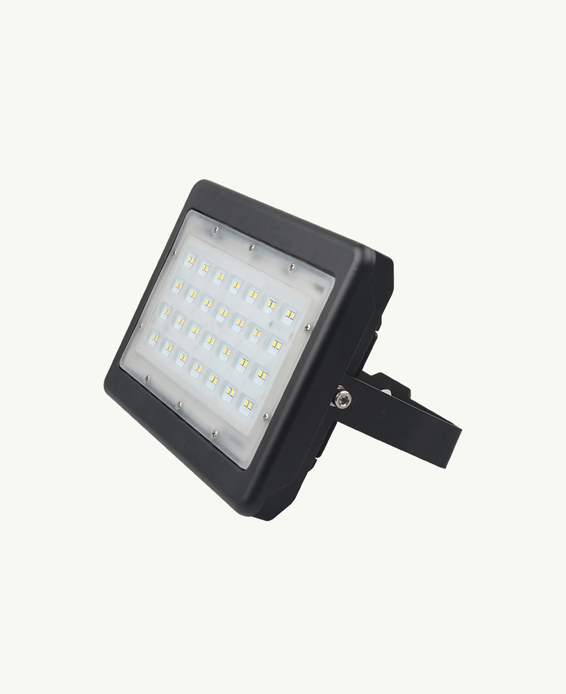 50W Flood with Mount Bracket