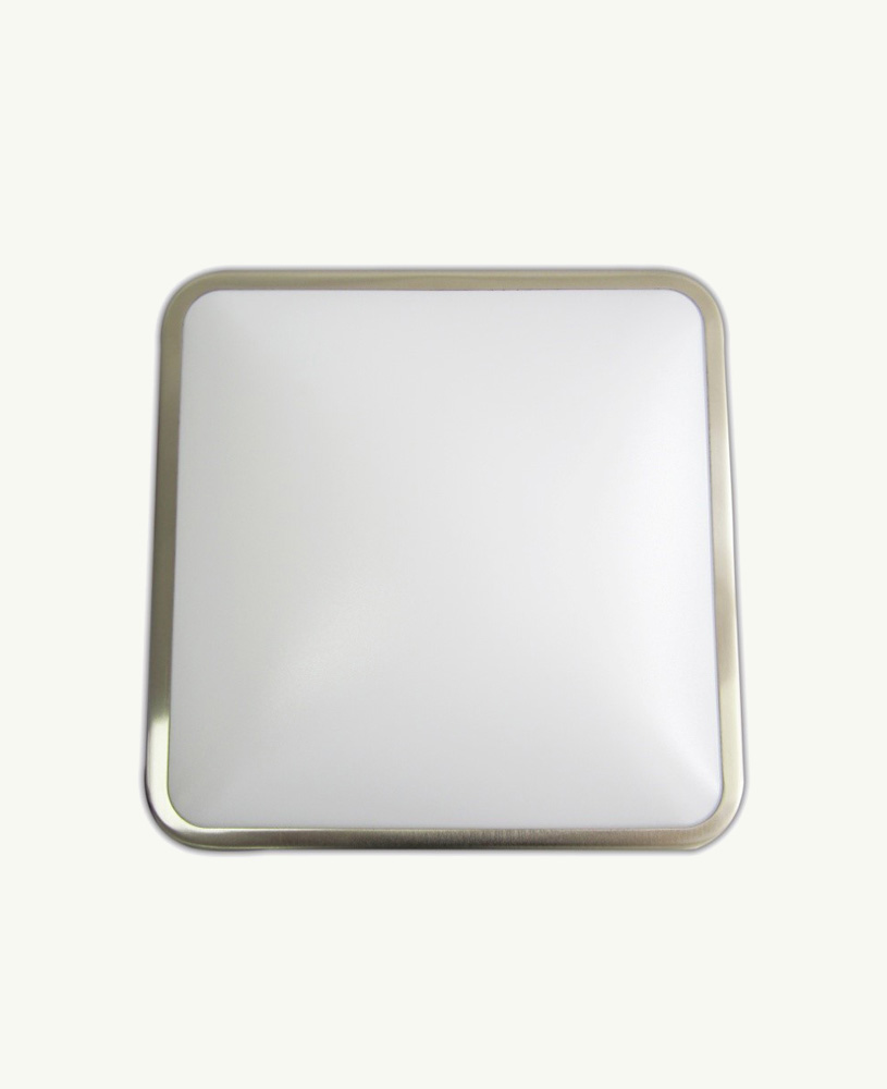 12 inch 22W Square Ceiling Mount