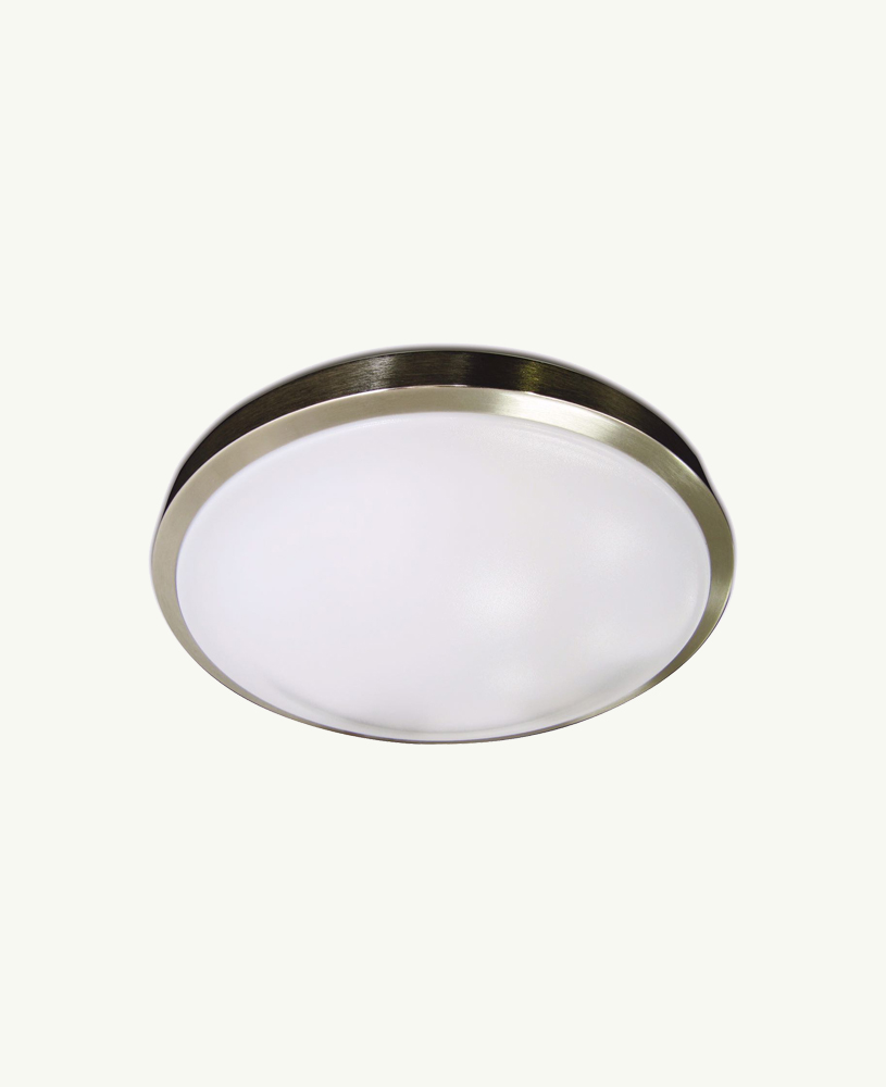 12 inch 22W Round Ceiling Mount