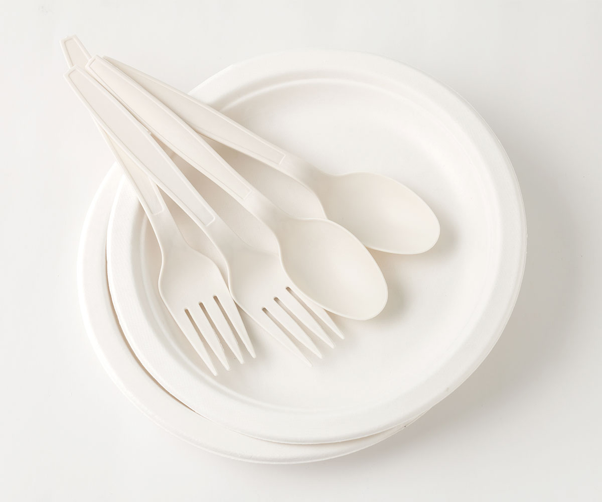Fork 6 Bio Base Heavy Weight 1000cs