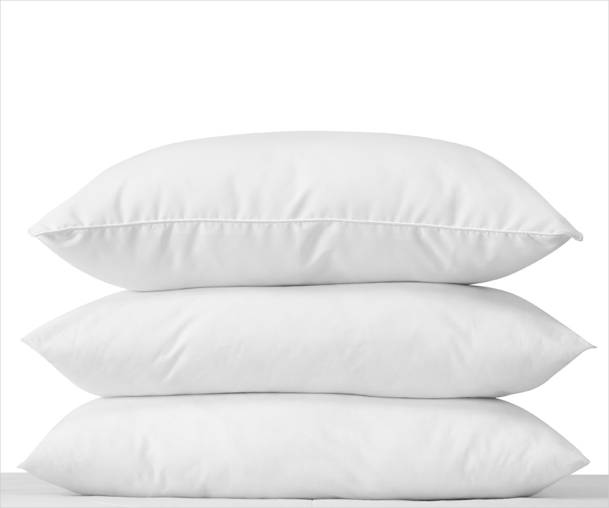 Pillow Standard, 26oz-Platinum Plus, 20x26-12/cs