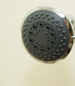 Shower Head